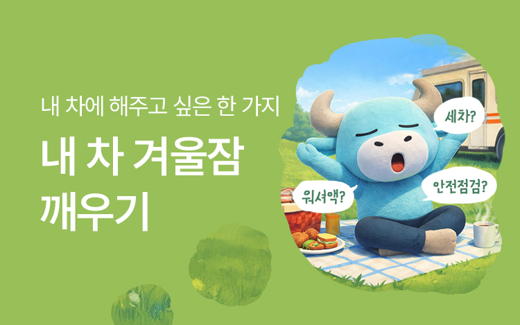 경칩맞이 내차 겨울잠 깨우기