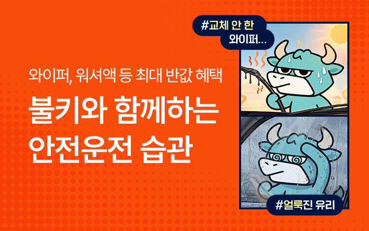 레인OK와 함께하는 안전운전 캠페인🍂