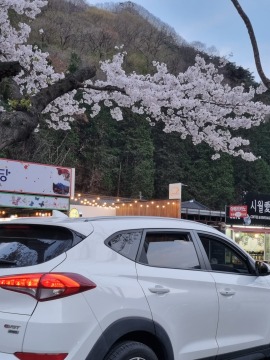 제목없음