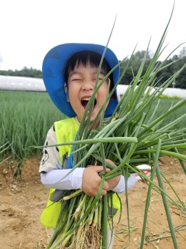 제목없음