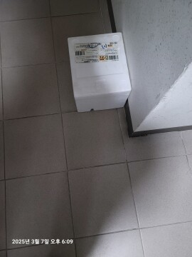 제목없음