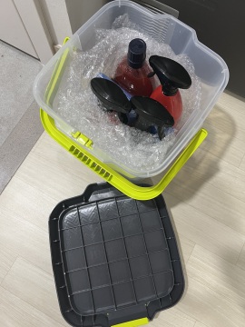 제목없음