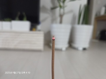 제목없음