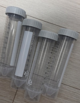 제목없음