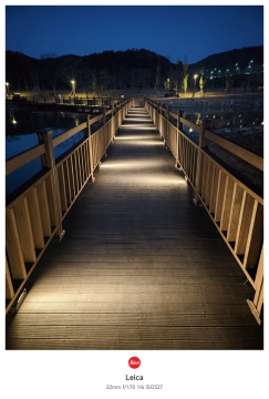 제목없음