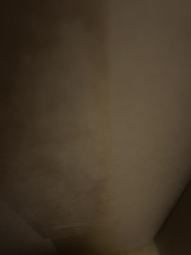 제목없음