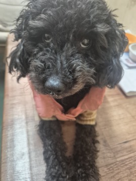 제목없음