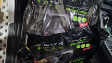 제목없음