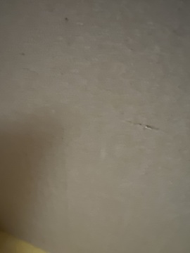 제목없음