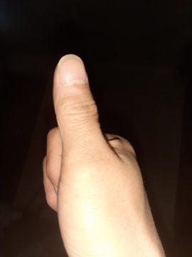 제목없음