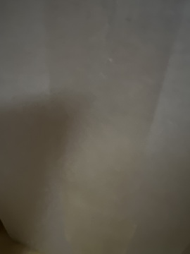 제목없음