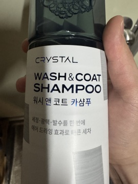 제목없음