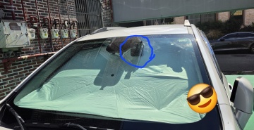 제목없음