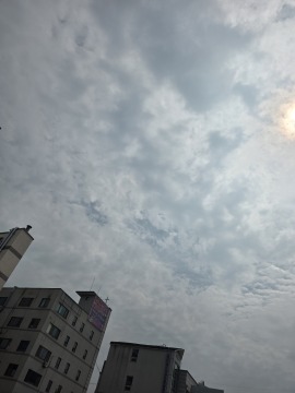 제목없음