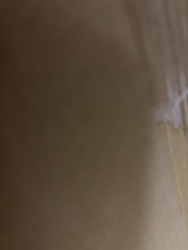 제목없음
