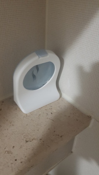 제목없음