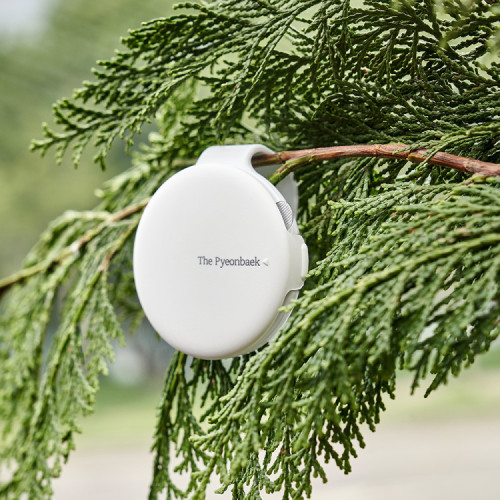 [무료환불]그라스 더 편백 선바이저 방향제