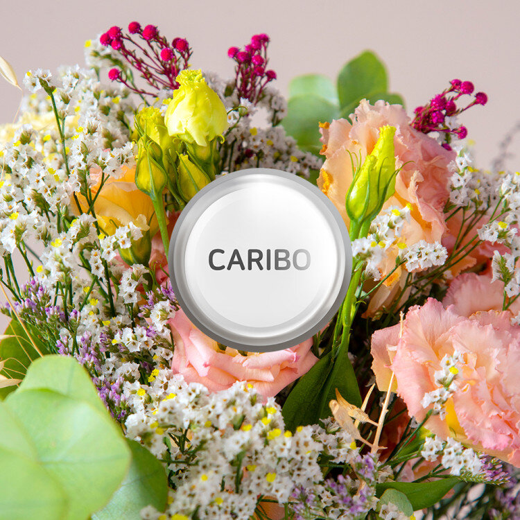 add_CARIBODIFFUSER_REFILL_20241217_113894.jpg