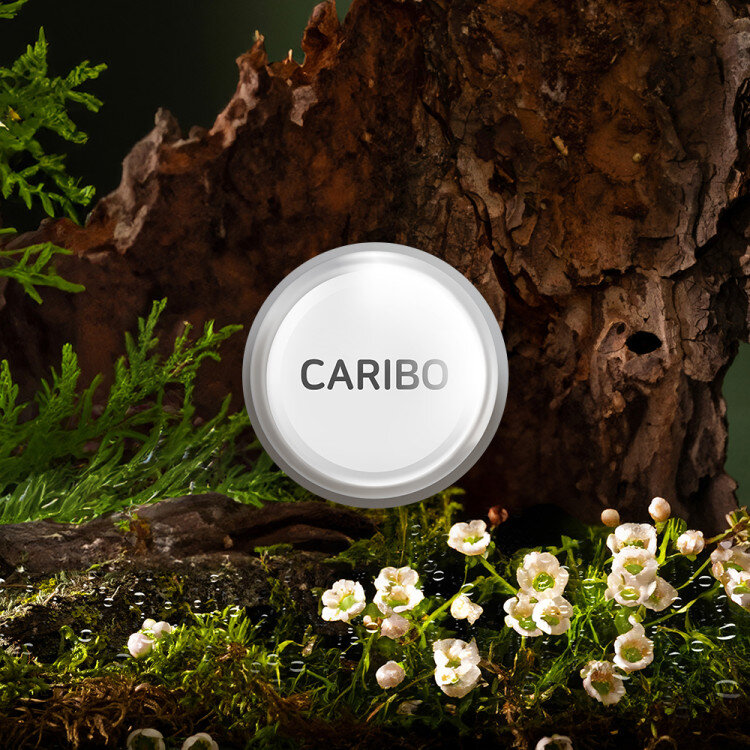 add_CARIBODIFFUSER_REFILL_20241217_488243.jpg