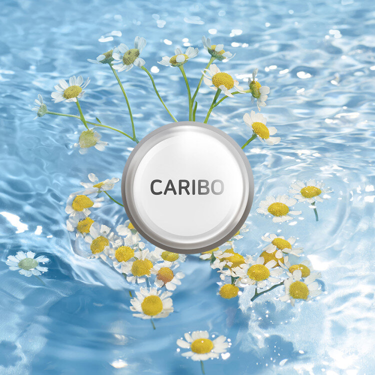 add_CARIBODIFFUSER_REFILL_20241217_595618.jpg