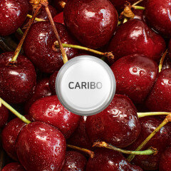 add_CARIBODIFFUSER_REFILL_20241217_199199.jpg