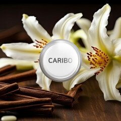 add_CARIBODIFFUSER_REFILL_20241217_294285.jpg