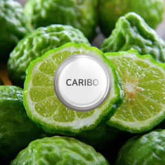 add_CARIBODIFFUSER_REFILL_20241217_455008.jpg