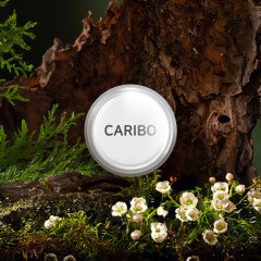 add_CARIBODIFFUSER_REFILL_20241217_488243.jpg