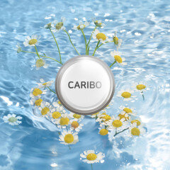 add_CARIBODIFFUSER_REFILL_20241217_595618.jpg