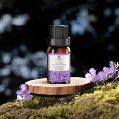 카오코 천연 아로마테라피 100프로 에센셜 오일 (차량용 디퓨져 리필)