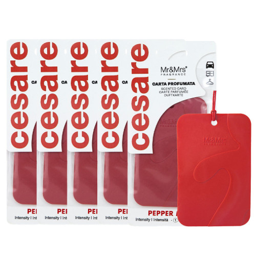 [4월 특가] 미스터앤미세스 체사레카드 멀티방향제 차량용 실내용 5개 세트