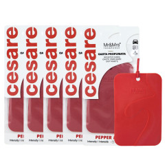 [4월 특가] 미스터앤미세스 체사레카드 멀티방향제 차량용 실내용 5개 세트