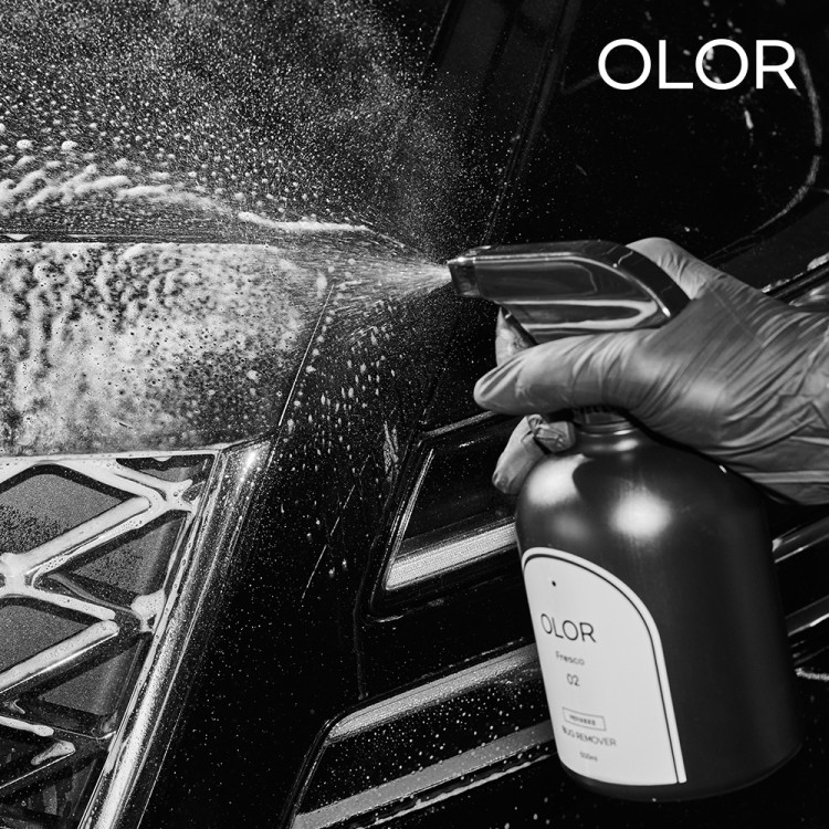 [4월 특가] 현대모비스 오로르 버그 리무버 벌레 날파리 오염물 자국 500ml 프레스코 세차 자동차 차량용