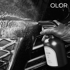 [4월 특가] 현대모비스 오로르 버그 리무버 벌레 날파리 오염물 자국 500ml 프레스코 세차 자동차 차량용